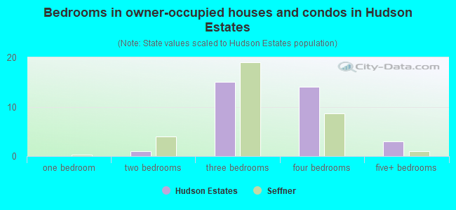 Bedrooms in owner-occupied houses and condos in Hudson Estates