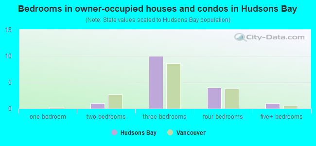 Bedrooms in owner-occupied houses and condos in Hudsons Bay