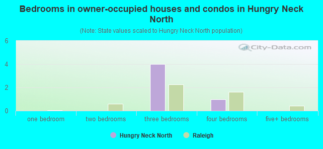 Bedrooms in owner-occupied houses and condos in Hungry Neck North