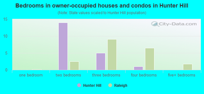 Bedrooms in owner-occupied houses and condos in Hunter Hill
