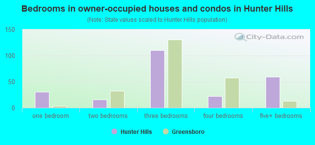 Bedrooms in owner-occupied houses and condos in Hunter Hills