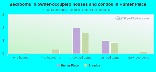 Bedrooms in owner-occupied houses and condos in Hunter Place