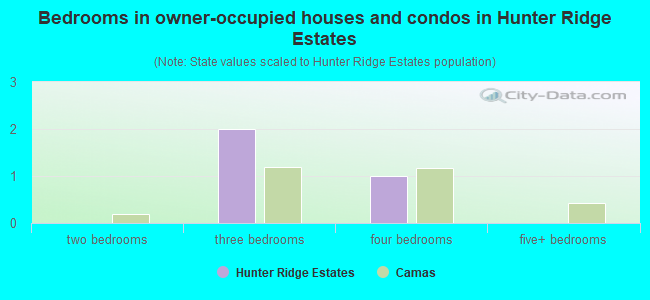 Bedrooms in owner-occupied houses and condos in Hunter Ridge Estates