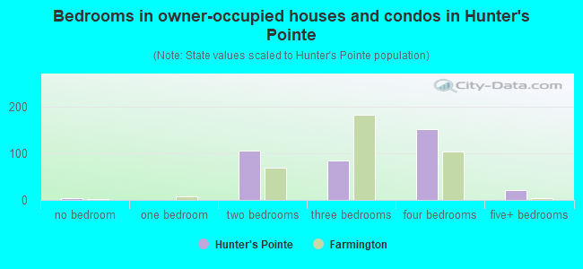 Bedrooms in owner-occupied houses and condos in Hunter's Pointe