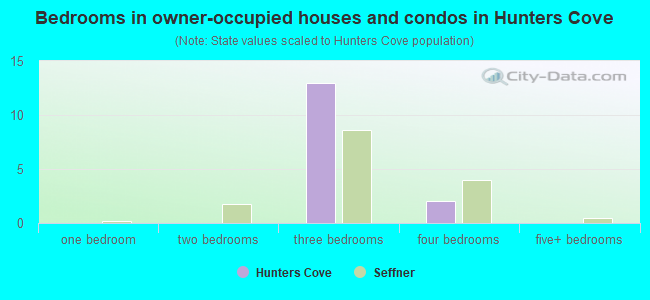 Bedrooms in owner-occupied houses and condos in Hunters Cove