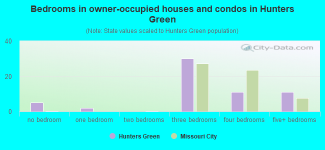Bedrooms in owner-occupied houses and condos in Hunters Green