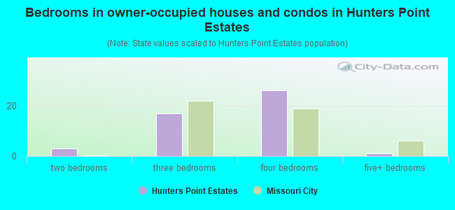 Bedrooms in owner-occupied houses and condos in Hunters Point Estates