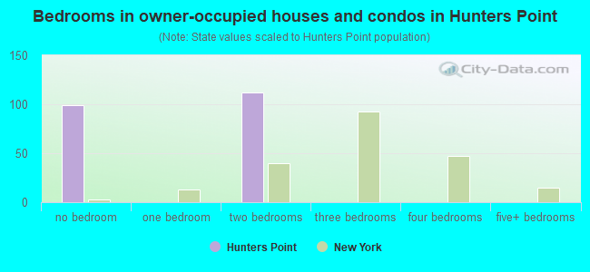 Bedrooms in owner-occupied houses and condos in Hunters Point