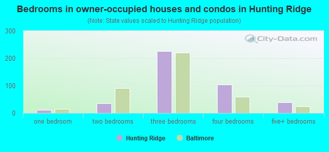 Bedrooms in owner-occupied houses and condos in Hunting Ridge