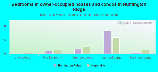 Bedrooms in owner-occupied houses and condos in Huntington Ridge