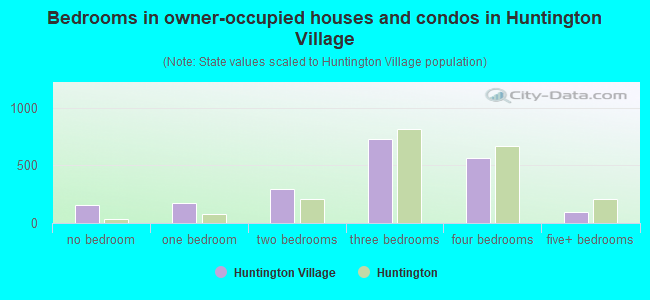 Bedrooms in owner-occupied houses and condos in Huntington Village