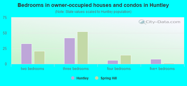 Bedrooms in owner-occupied houses and condos in Huntley