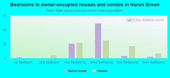 Bedrooms in owner-occupied houses and condos in Huron Green