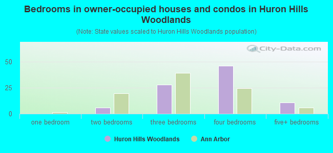 Bedrooms in owner-occupied houses and condos in Huron Hills Woodlands