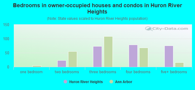 Bedrooms in owner-occupied houses and condos in Huron River Heights