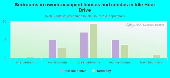 Bedrooms in owner-occupied houses and condos in Idle Hour Drive