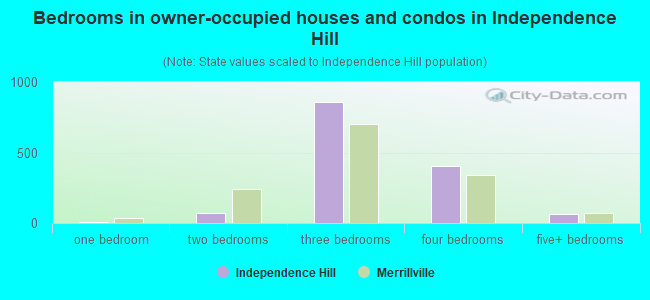 Bedrooms in owner-occupied houses and condos in Independence Hill