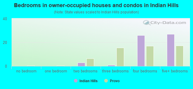 Bedrooms in owner-occupied houses and condos in Indian Hills