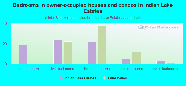 Bedrooms in owner-occupied houses and condos in Indian Lake Estates