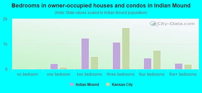 Bedrooms in owner-occupied houses and condos in Indian Mound