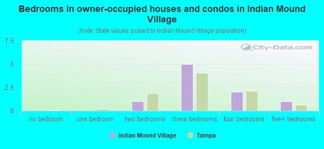 Bedrooms in owner-occupied houses and condos in Indian Mound Village