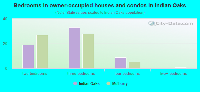 Bedrooms in owner-occupied houses and condos in Indian Oaks