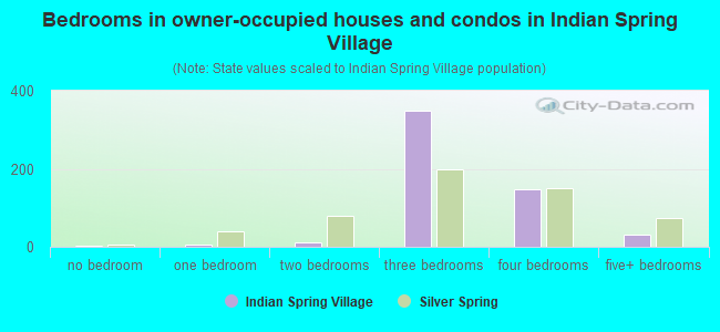 Bedrooms in owner-occupied houses and condos in Indian Spring Village