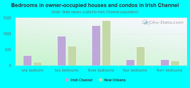 Bedrooms in owner-occupied houses and condos in Irish Channel