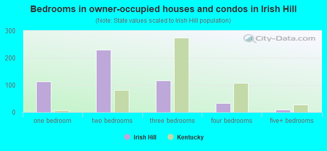 Bedrooms in owner-occupied houses and condos in Irish Hill