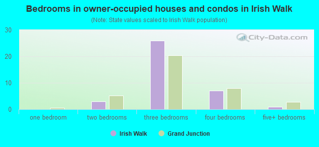 Bedrooms in owner-occupied houses and condos in Irish Walk