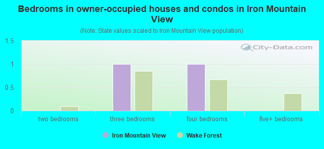 Bedrooms in owner-occupied houses and condos in Iron Mountain View