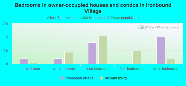 Bedrooms in owner-occupied houses and condos in Ironbound Village