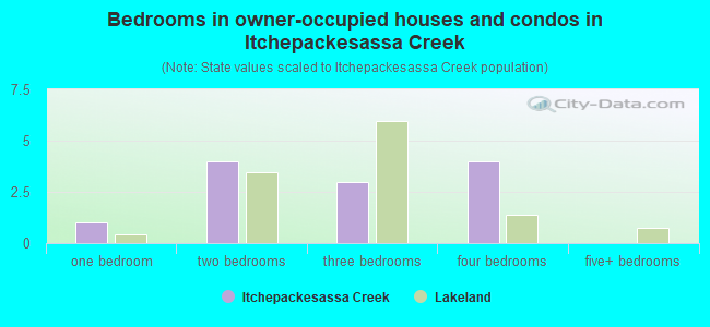 Bedrooms in owner-occupied houses and condos in Itchepackesassa Creek