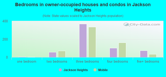 Bedrooms in owner-occupied houses and condos in Jackson Heights