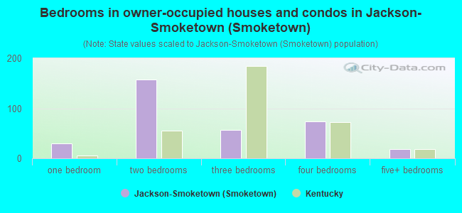 Bedrooms in owner-occupied houses and condos in Jackson-Smoketown (Smoketown)