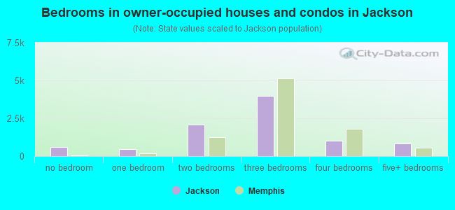 Bedrooms in owner-occupied houses and condos in Jackson
