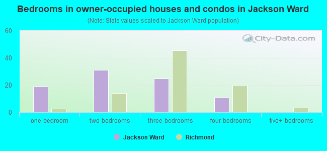 Bedrooms in owner-occupied houses and condos in Jackson Ward