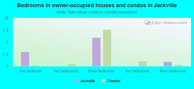 Bedrooms in owner-occupied houses and condos in Jackville