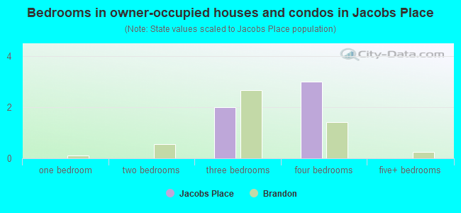 Bedrooms in owner-occupied houses and condos in Jacobs Place