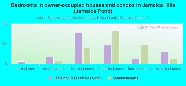 Bedrooms in owner-occupied houses and condos in Jamaica Hills (Jamaica Pond)