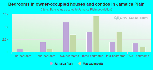 Bedrooms in owner-occupied houses and condos in Jamaica Plain