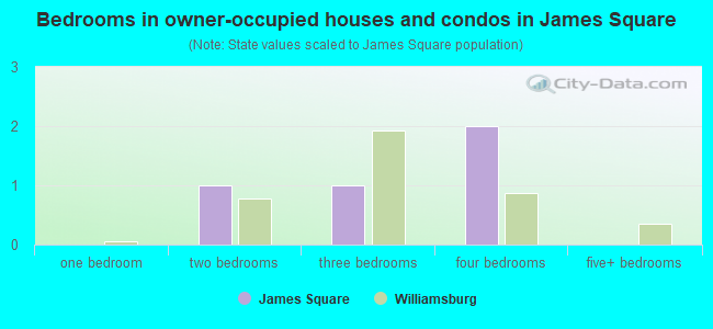 Bedrooms in owner-occupied houses and condos in James Square