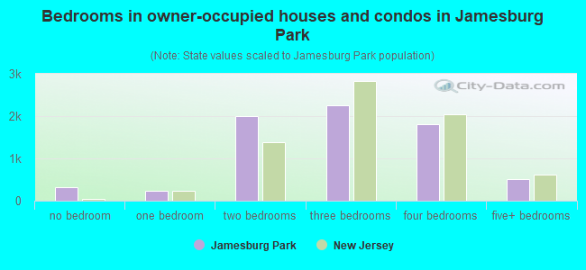 Bedrooms in owner-occupied houses and condos in Jamesburg Park