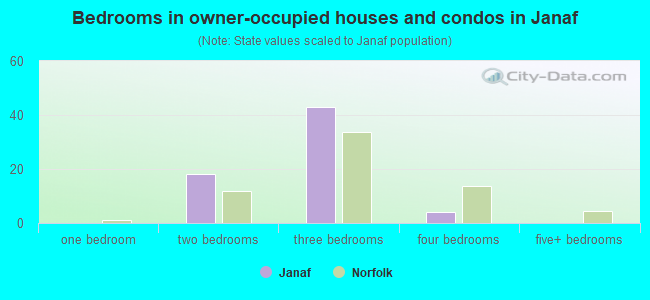 Bedrooms in owner-occupied houses and condos in Janaf