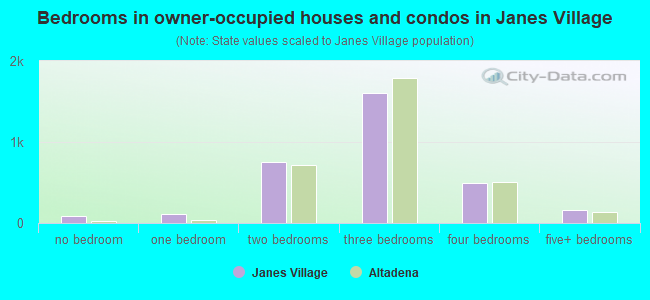 Bedrooms in owner-occupied houses and condos in Janes Village