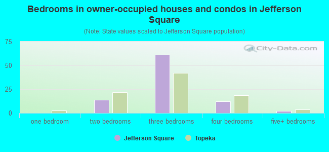 Bedrooms in owner-occupied houses and condos in Jefferson Square