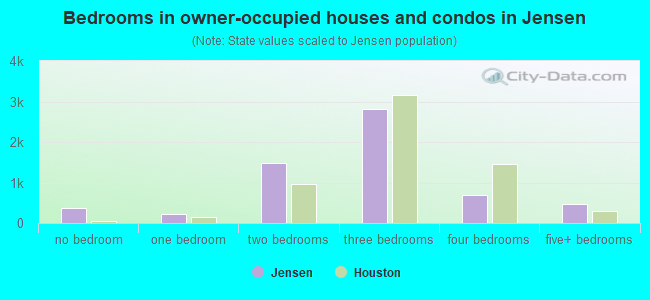 Bedrooms in owner-occupied houses and condos in Jensen