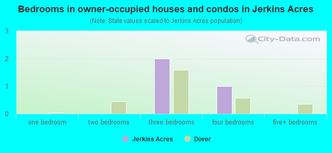 Bedrooms in owner-occupied houses and condos in Jerkins Acres