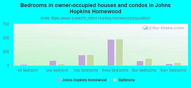 Bedrooms in owner-occupied houses and condos in Johns Hopkins Homewood