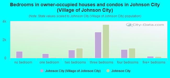 Bedrooms in owner-occupied houses and condos in Johnson City (Village of Johnson City)